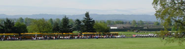 Participants in the annual Children's Culture Parade enjoy a spring morning in the park.
